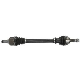 Compre Palier de PASCAL online para Jumpy III Furgoneta (V) a precios moderados