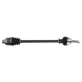 Compre Palier de PASCAL online para 19 II (B/C53_) a precios moderados