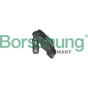 Kipphebel von Borsehung