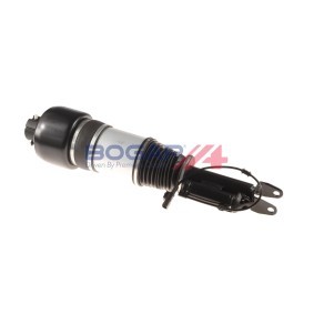 Comprar Amortiguador neumático de BOGAP C3410107 a bajo precio de 797,15 €