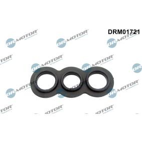 Dichtung, Thermostat DRM01721