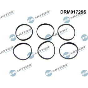 Dichtungssatz, Ansaugkrümmer DRM01725S von DR.MOTOR AUTOMOTIVE günstig für 13,69 € online kaufen