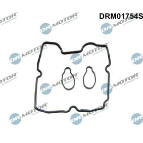 Dichtungssatz, Zylinderkopfhaube DRM01754S