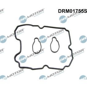 Dichtungssatz, Zylinderkopfhaube DRM01755S