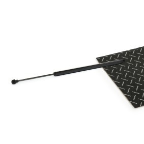 Acquista Bagagliaio da RIDEX online per C4 I Van / Hatchback (LR_) a prezzi moderati
