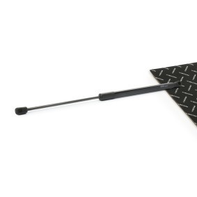 Heckklappendämpfer von RIDEX