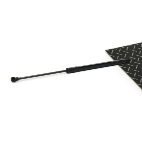 Heckklappendämpfer von RIDEX