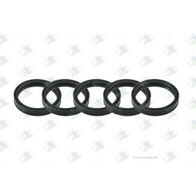 Acquista Paraolio, Cambio manuale da Euroricambi 95532555 a buon mercato per soli 10,56 €