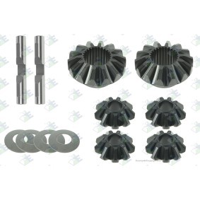 Acquista Kit riparazione, Differenziale da Euroricambi 60171497 a buon mercato per soli 183,17 €
