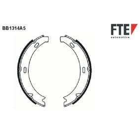Bremsbackensatz, Feststellbremse 9100078 von FTE günstig für 61,02 € online kaufen