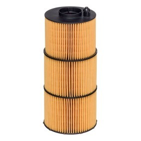 Ölfilter E829H D366 für DAF