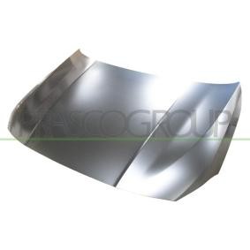 Motorhaube BM1273100