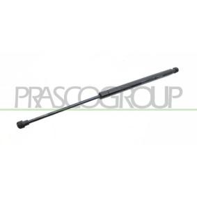 Achetez des Vérin de coffre PRASCO PG3269055 à prix pour 18,14 €