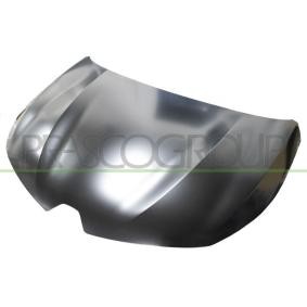 Motorhaube RN3323110