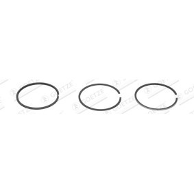 Acquista Kit fasce elastiche da GOETZE ENGINE 08-320204-30 a buon mercato per soli 37,59 €
