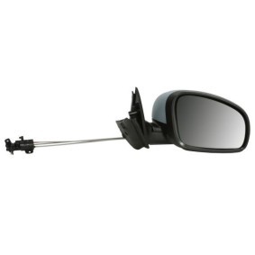 Compre Capa retrovisor de BLIC online para Amarok Camião de plataforma / Chassis (S1B, S6B, S7B) a preços moderados