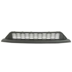 Acquista Griglia paraurti da BLIC 6502-07-2904911P a buon mercato per soli 77,58 €