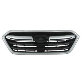 Kühlergrill 6502-07-6716992Q