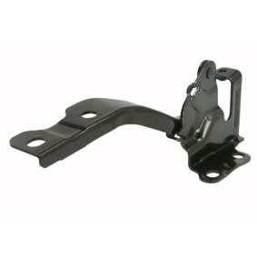 Scharnier, Motorhaube 6802-00-3120451P