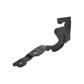 Scharnier, Motorhaube 6802-00-3120452P