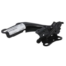 Scharnier, Motorhaube 6802-00-8167451P