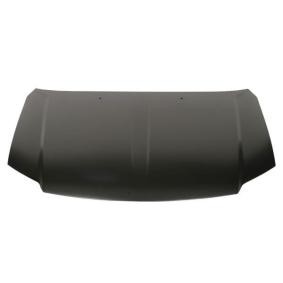 Motorhaube 6803-00-0914281AP