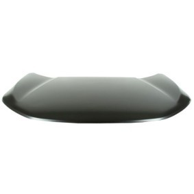 Motorhaube 6803-00-2951280P