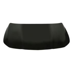 Motorhaube 6803-00-3535280AP
