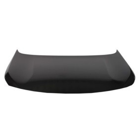 Motorhaube 6803-00-5547281AP