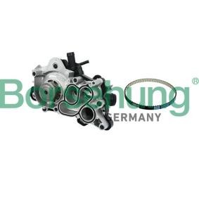 Achetez des Pompe à eau Borsehung B11208 à prix pour 164,86 €