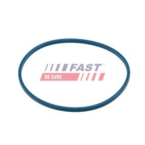 Acquista Guarnizione testata da FAST FT48614 a buon mercato per soli 30,80 €