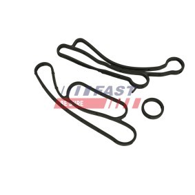 Comprar Junta anular, descarga aceite (turbocompresor) de FAST FT48811 a bajo precio de 5,95 €