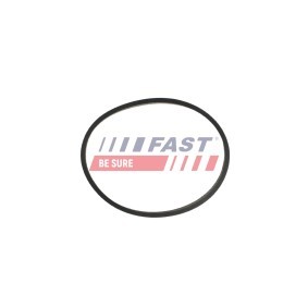 Kjøp Tetning, eksosmanifold av FAST FT49470 til den lave prisen 581,88 NOK
