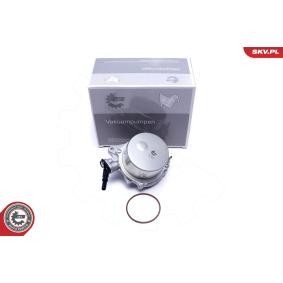 Compre Bomba de vácuo, sistema de travagem da ESEN SKV 18SKV059 a um preço baixo por 150,29 €