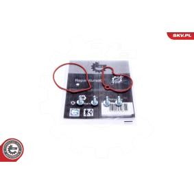 Acquista Kit riparazione, Pompa a depressione (Sistema frenante) da ESEN SKV 18SKV807 a buon mercato per soli 19,56 €