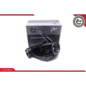Acquista Fusello da ESEN SKV online per Kuga Mk2 (DM2) a prezzi moderati