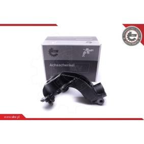 Acquista Fusello da ESEN SKV online per Kuga Mk2 (DM2) a prezzi moderati
