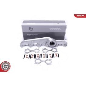 Abgaskrümmer 49SKV067