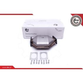 Compre Filtro de partículas da ESEN SKV 62SKV511 a um preço baixo por 346,88 €