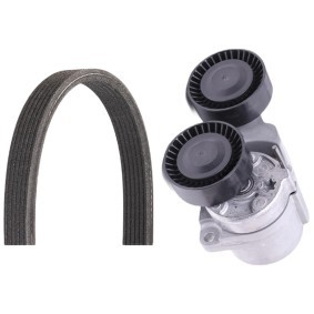 Achetez des Jeu de courroies trapézoïdales à nervures RIDEX 542R1163 à prix pour 75,01 €