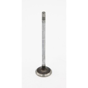 Osta Imuventtiili IVECO:llä 504069199 edullisesti hintaan 63,45 €