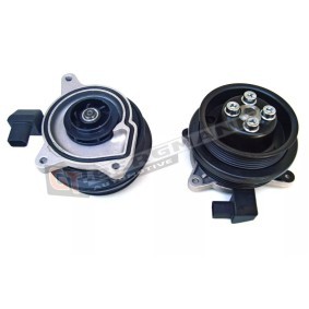 Achetez des Pompe à eau GT-BERGMANN GT03C121004J à prix pour 134,35 €