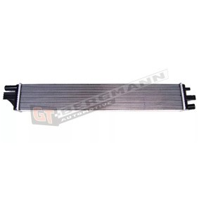 Acquista Radiatore motore da GT-BERGMANN GT10-006 a buon mercato per soli 72,70 €