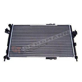 Achetez des Radiateur du moteur GT-BERGMANN GT10-066 à prix pour 78,25 €