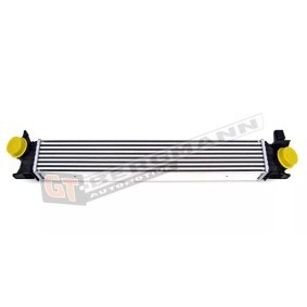 Köp Intercooler av GT-BERGMANN GT12-009 till det låga priset 1439,03 kr