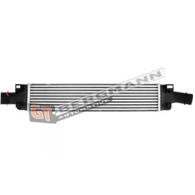 Köp Intercooler av GT-BERGMANN GT12-027 till det låga priset 1411,82 kr