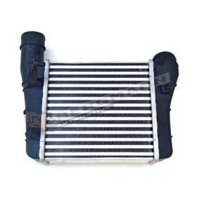Köp Intercooler av GT-BERGMANN GT12-029 till det låga priset 1377,71 kr