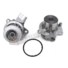 Achetez des Pompe à eau GT-BERGMANN GT16-002 à prix pour 36,78 €