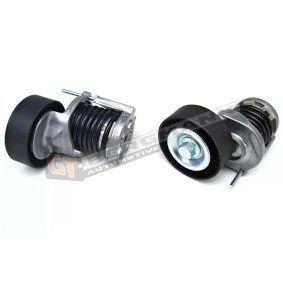 Comprar Tensor de correa poli V de GT-BERGMANN GT51-008 a bajo precio de 42,64 €