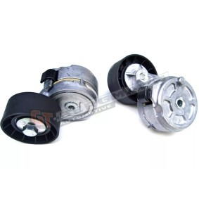 Acquista Braccio tenditore, Cinghia Poly-V da GT-BERGMANN GT51-018 a buon mercato per soli 40,50 €
